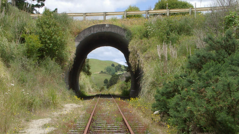 Discover Dargaville’s rich history and surrounds on a fantastic rail carting tour!